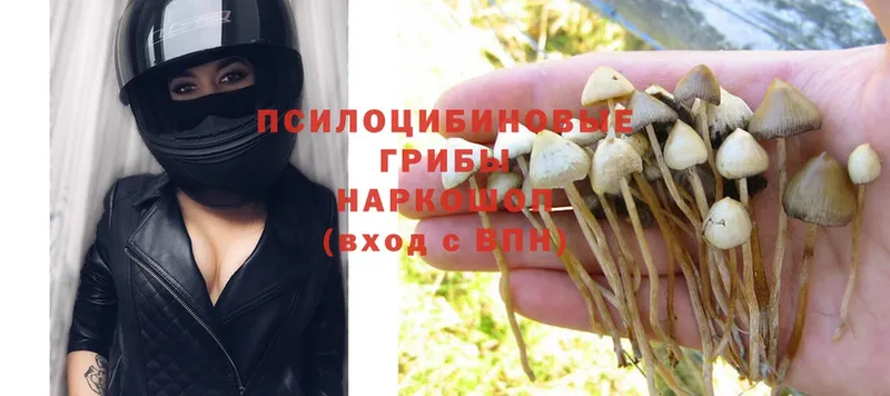 omg зеркало  Анапа  Псилоцибиновые грибы MAGIC MUSHROOMS 